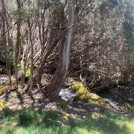 Ramshead Creek 3 - Thredbo Διαμέρισμα Εξωτερικό φωτογραφία